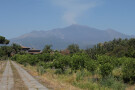 Mount Etna from Lemon Orchard Outside Villa, Acireale, Sicily
